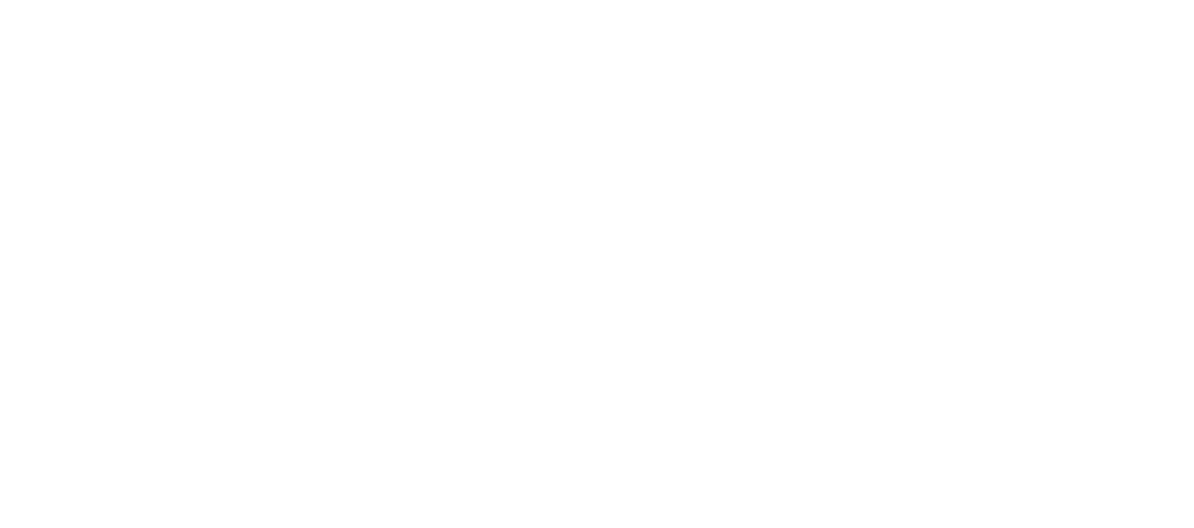 ADN Logo